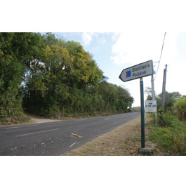 picture1